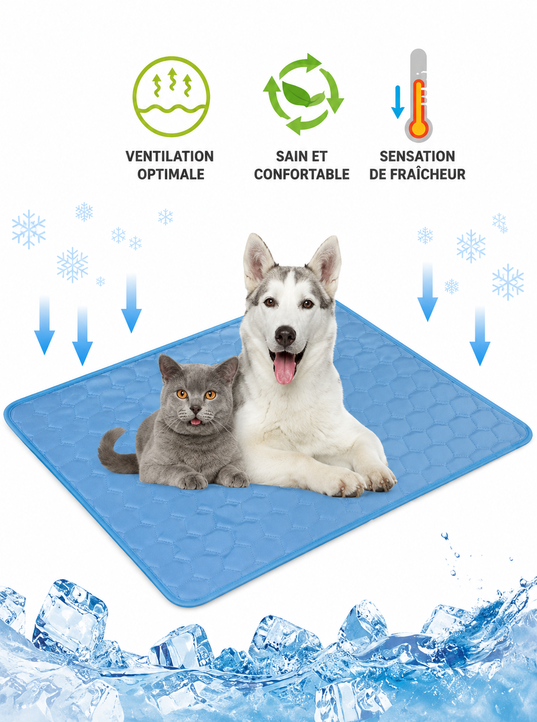 Tapis Rafraîchissant Premium pour Chien & Chat – Effet Fraîcheur Instantané